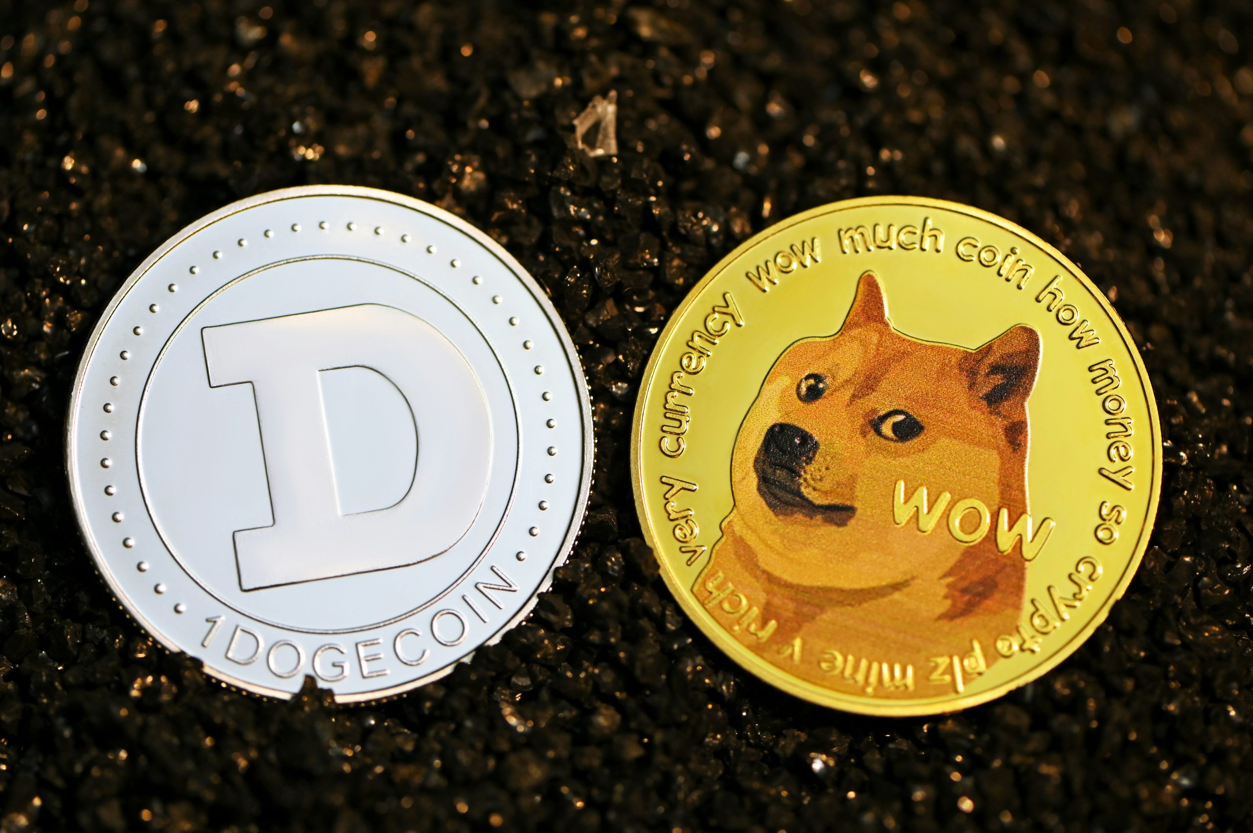 Disputed claims: How NPR tried to smear DOGE with a controversial screenshot