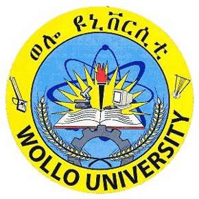 Wollo University